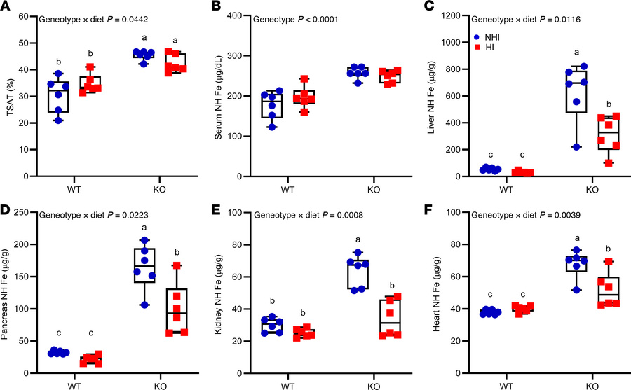Consumption of a 50-ppm NHI diet or a 50-ppm HI–enriched diet leads to i...