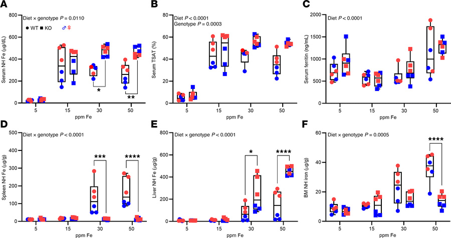 Consumption of a 15-ppm NHI diet prevents iron overload in Hamp-KO S-D r...