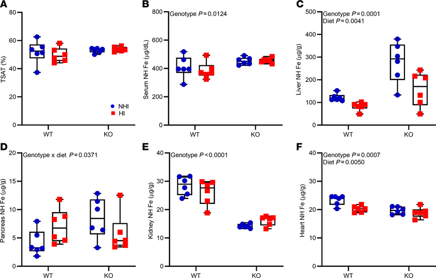 Consumption of a 50-ppm NHI diet or a 50-ppm HI–enriched diet leads to i...