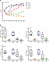Rat pilot study 2: An HI diet was effective at correcting the anemia in iro