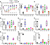 A 60-ppm HI diet was effective at correcting the IDA in iron-depleted C57BL