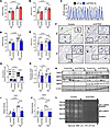 Smooth muscle, not endothelial, cell–specific deletion of STING provides pr