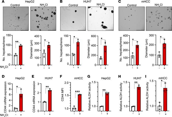 Ammonia promotes the acquisition of cancer stem cell properties in vitro...
