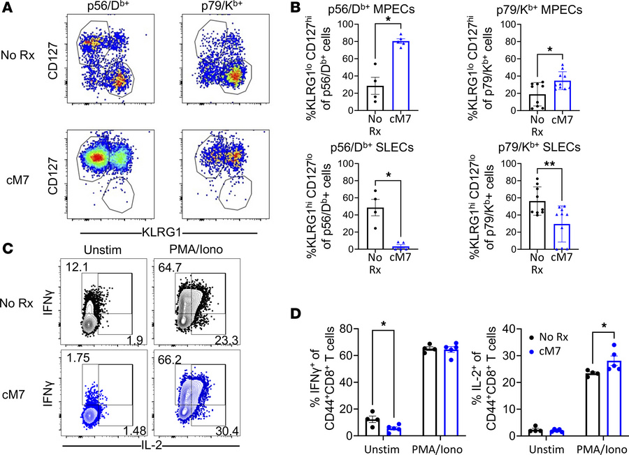CD154:CD11b blockade improves the quality of the virus-specific CD8+ T c...