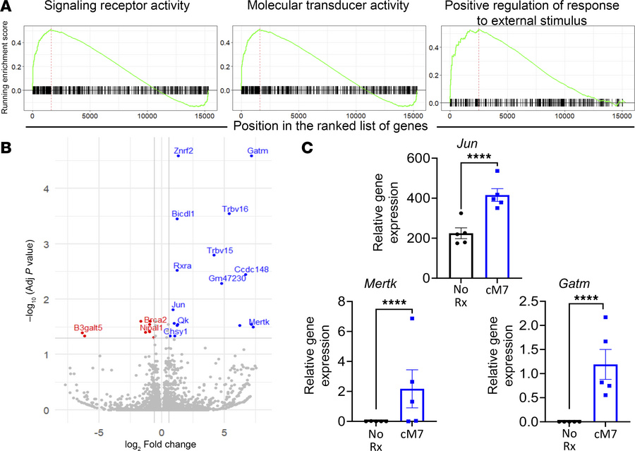 CD154:CD11b blockade promotes a distinct transcription profile in virus-...