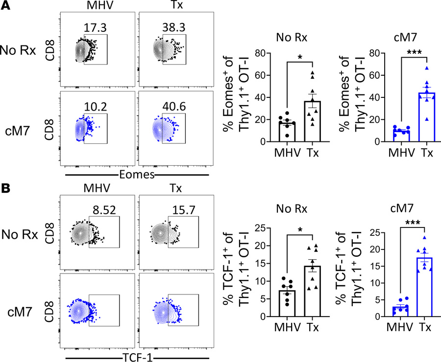 Antigen stimulus by infection or transplantation induces baseline differ...