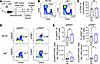 CD154:CD11b blockade increases the frequency and number of virus-specific C