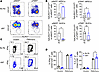 CD154:CD11b blockade improves the quality of the virus-specific CD8+ T cell