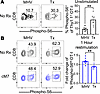 CD154:CD11b blockade differentially alters S6 phosphorylation in infection