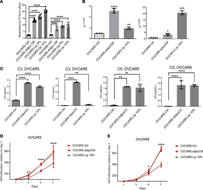Lipids induce C3 and C5 overexpression and secretion in OC cells.
(A) Li...