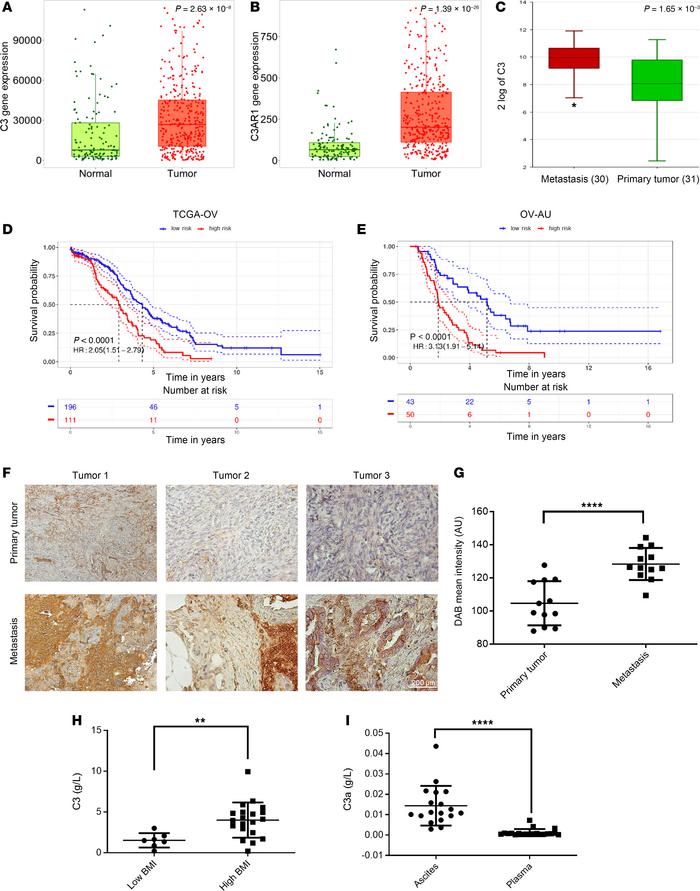 C3 expression in patient tumors increases with contact with omentum and ...