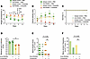 Combining antibiotics with anti-RANKL treatment proves superior to antibiot