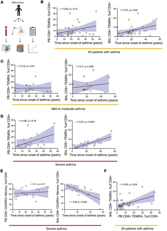 Association of T cell subsets with time since the onset of asthma sympto...
