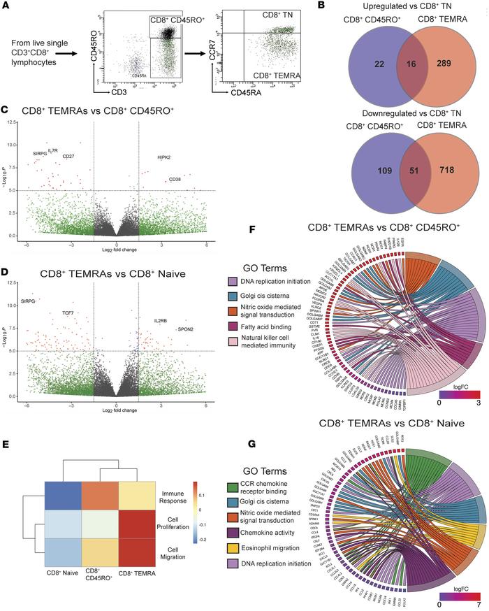 Transcriptional features of PB CD8+ TEMRAs in SA suggest inflammatory ph...