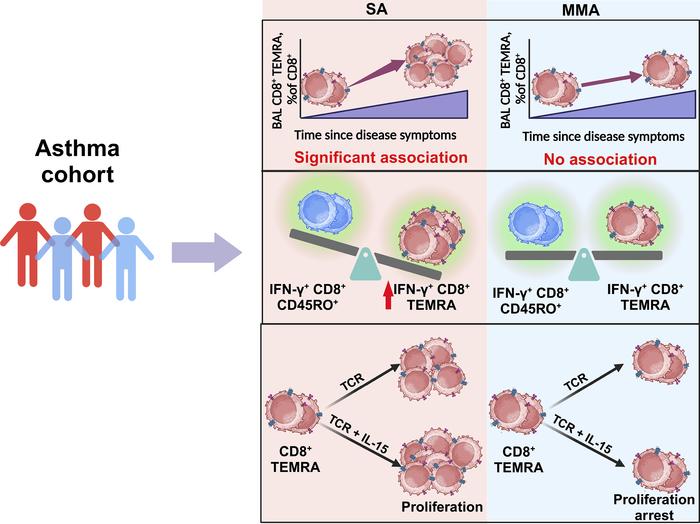 graphical abstract