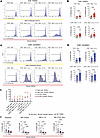PB CD8+ TEMRAs retain proliferative capacity in SA, but not MMA, despite se