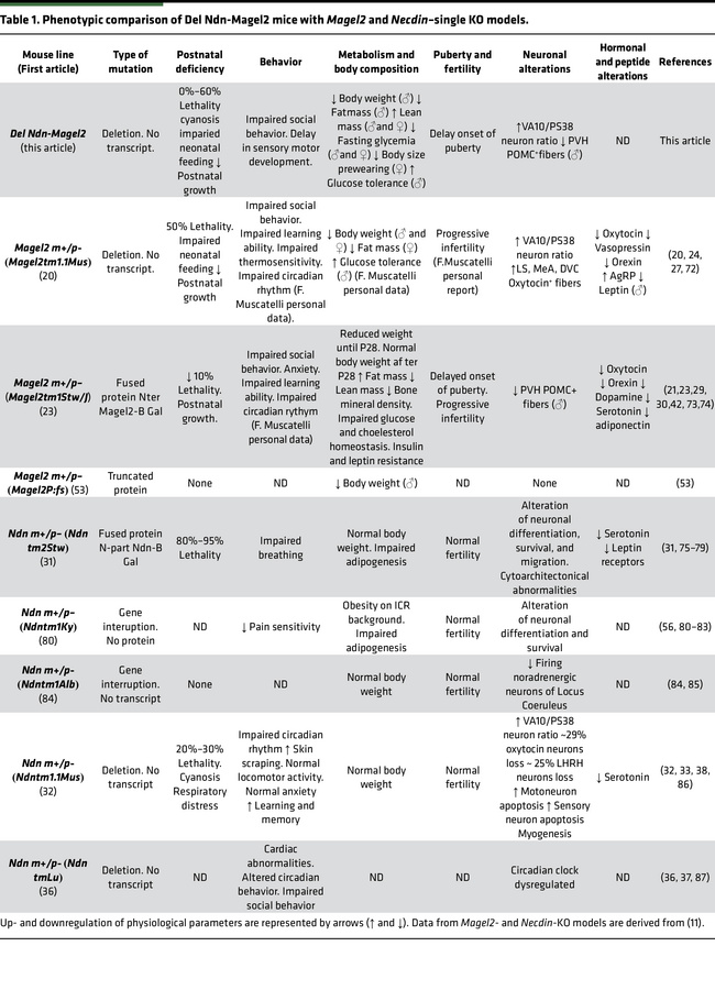 Phenotypic comparison of Del Ndn-Magel2 mice with Magel2 and Necdin–sing...