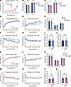 Sexually dimorphic effects of Magel2 and Necdin deficiencies on growth curv
