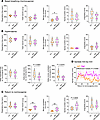 Increased ventilation and posthypercapnic apneas in Del Ndn-Magel2 mice.