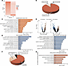 Transcriptomic analysis of genes that are dysregulated in the hypothalamus