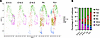 Temporal mapping of the pulmonary LEC landscape.