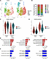 KrasG12D induces changes in the cellular and transcriptional landscape of l