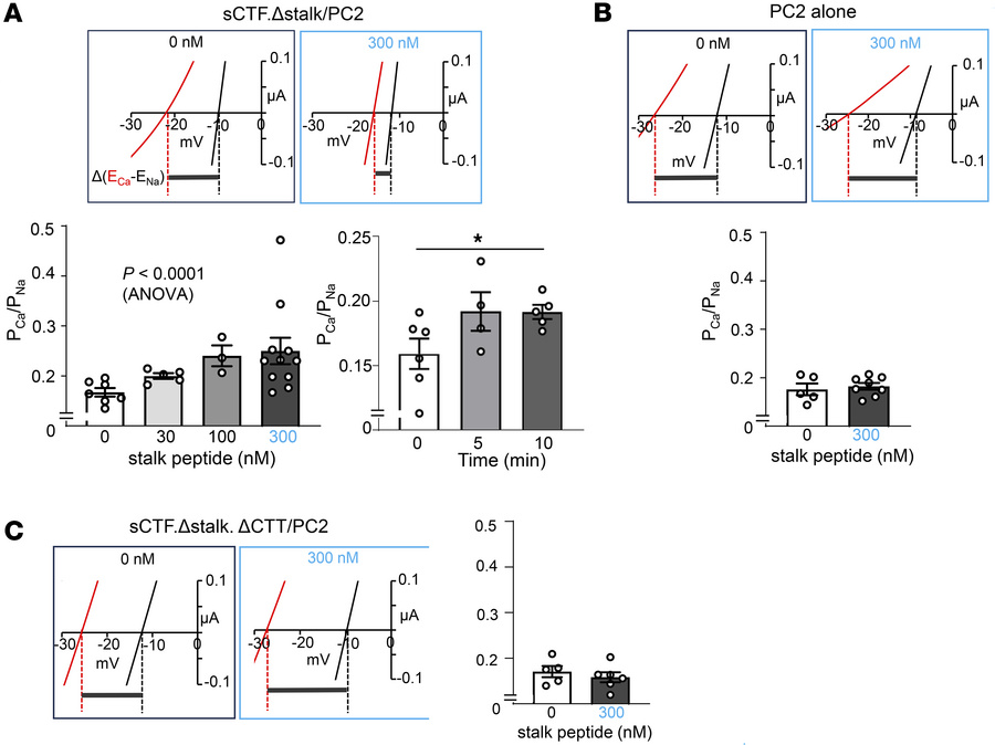 External application of stalk peptide increases Ca2+ permeability of het...