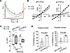 PC1 N-terminal cleavage enhances extracellular Ca2+ inhibition of Na+ curre