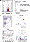Comparative transcriptome analysis reveals similarities between mouse OLP-l