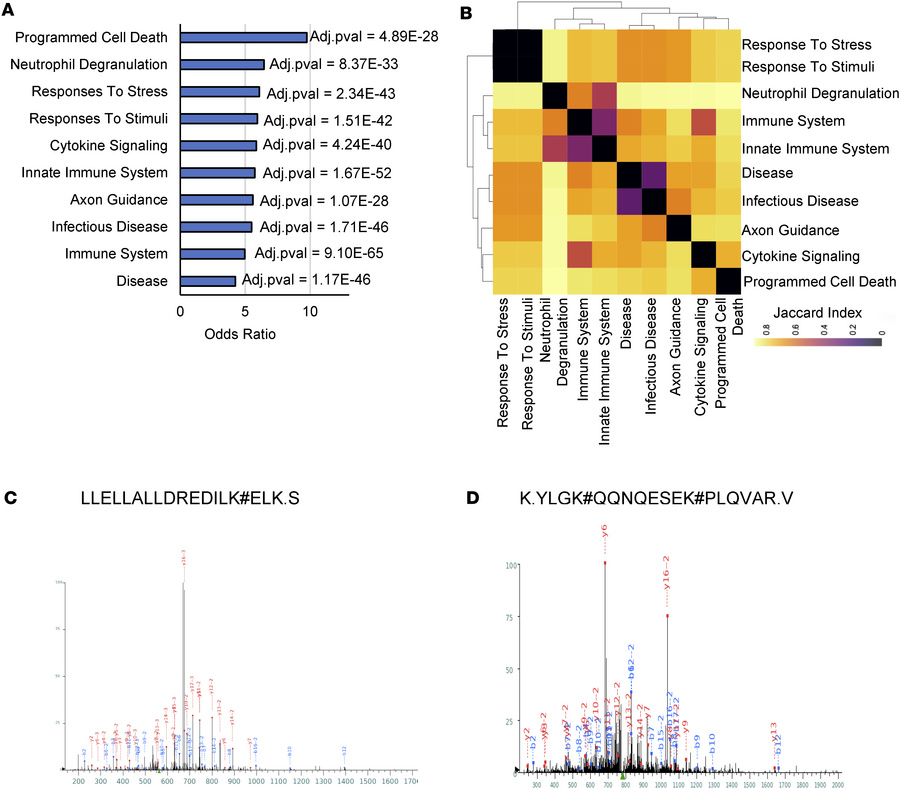 Ubiquitin remnant profiling and mass spectrometry analysis of extracts f...