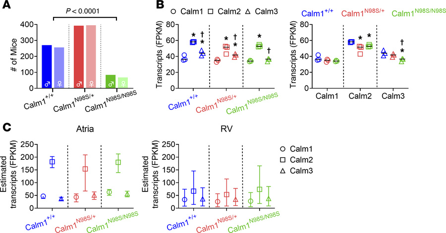 Genotype frequencies and Calm gene expression in adult offspring derived...