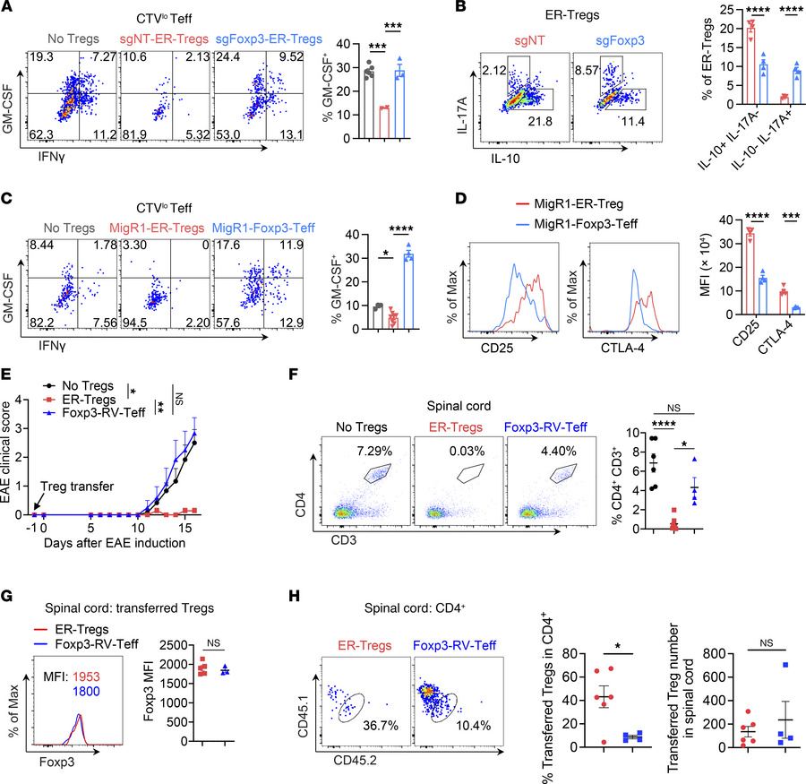Foxp3 expression is required but not sufficient for the suppressor funct...