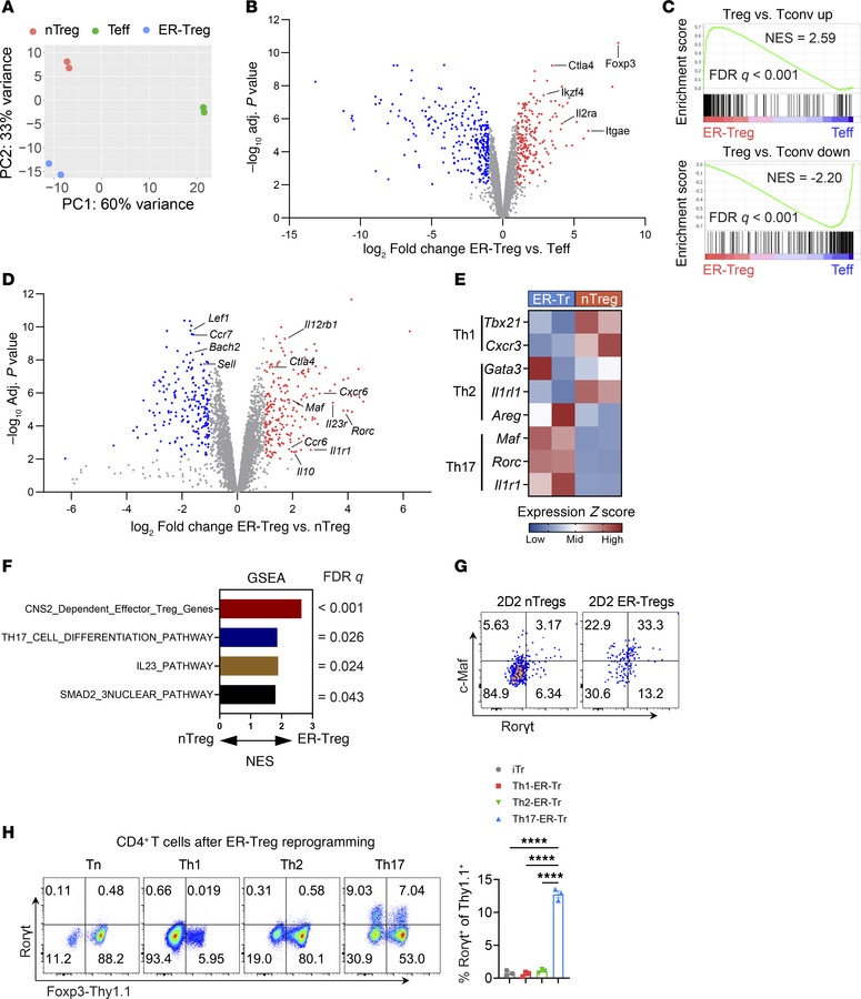 ER-Tregs exhibit elevated expression of select parental Teff genes.
(A–F...