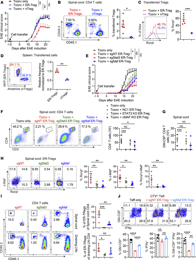 Elevated expression of specific Teff genes contributes to ER-Treg fitnes...