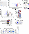 ER-Tregs exhibit elevated expression of select parental Teff genes.
