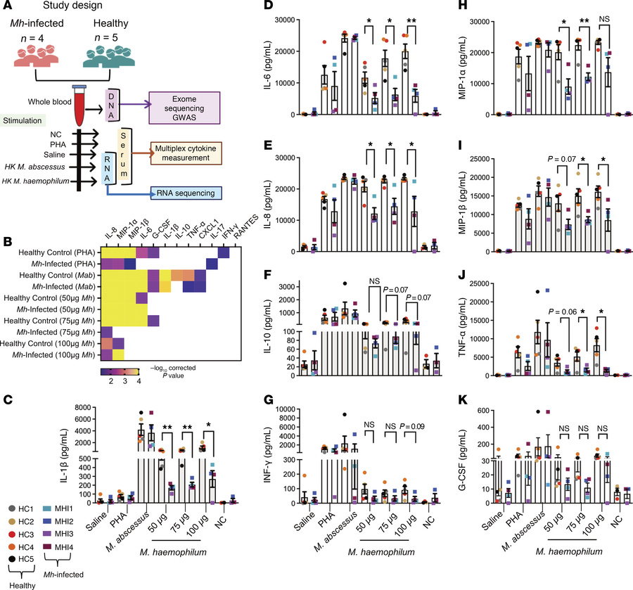 Impaired M. haemophilum–specific proinflammatory responses in individual...