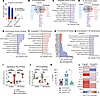 Mh-infected patients show impaired transcriptional response to Mh in vitro,