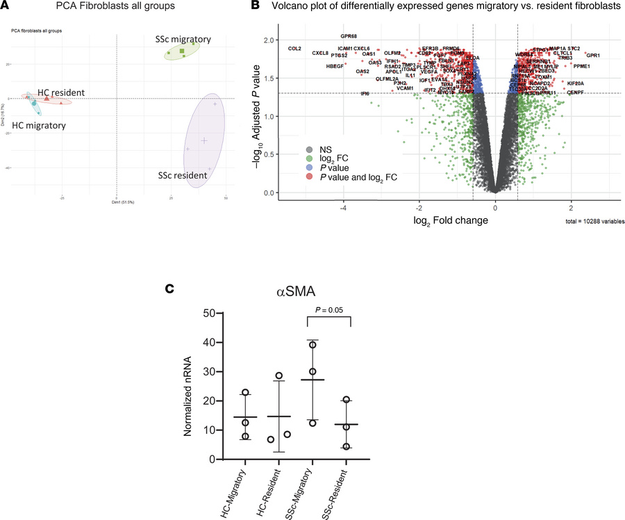 Bulk gene expression analysis for resident and migratory fibroblasts.
(A...