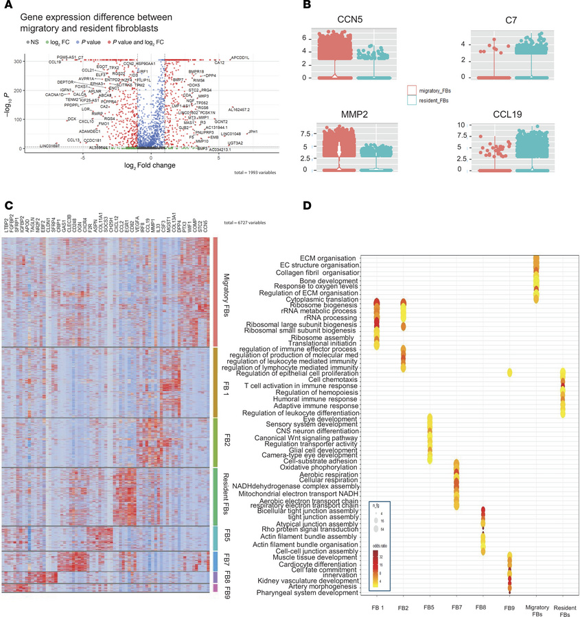 Understanding the migratory and resident fibroblasts through the scRNA-s...