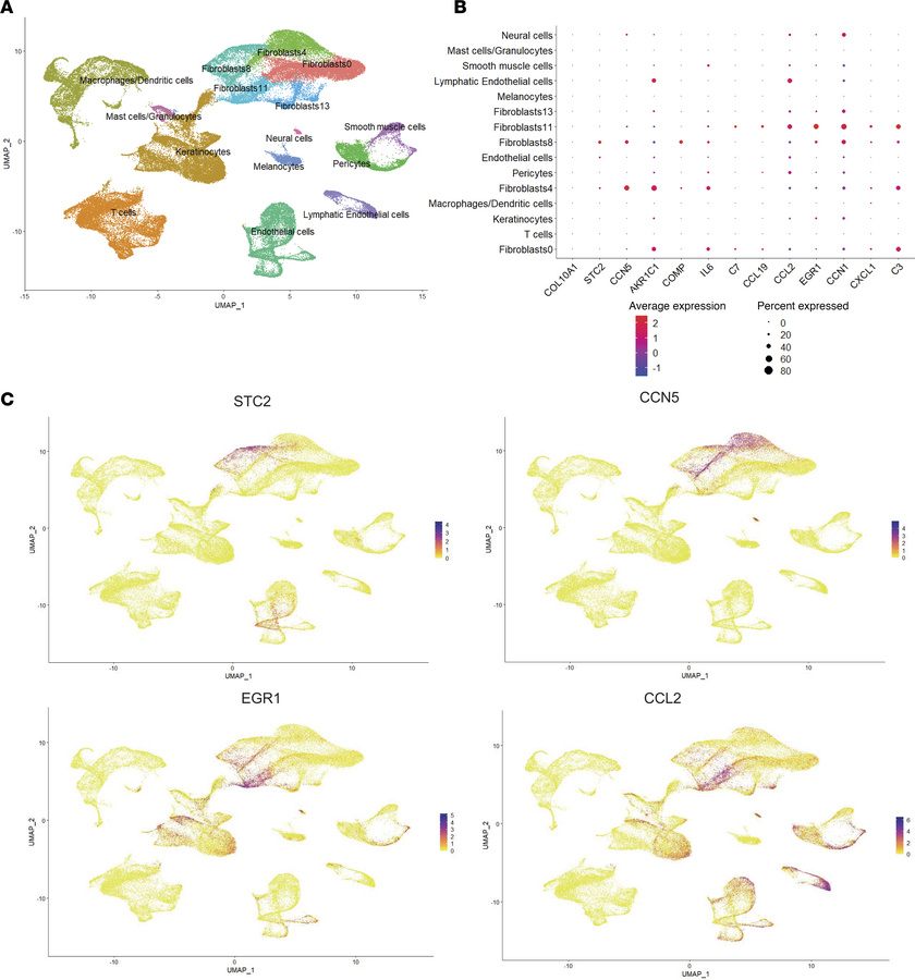 Identifying migratory and resident fibroblasts in the whole-skin scRNA-s...