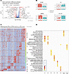Understanding the migratory and resident fibroblasts through the scRNA-seq