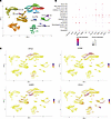 Identifying migratory and resident fibroblasts in the whole-skin scRNA-seq