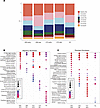 Differing frequency and pathway activation in fibroblasts by SSc stage and