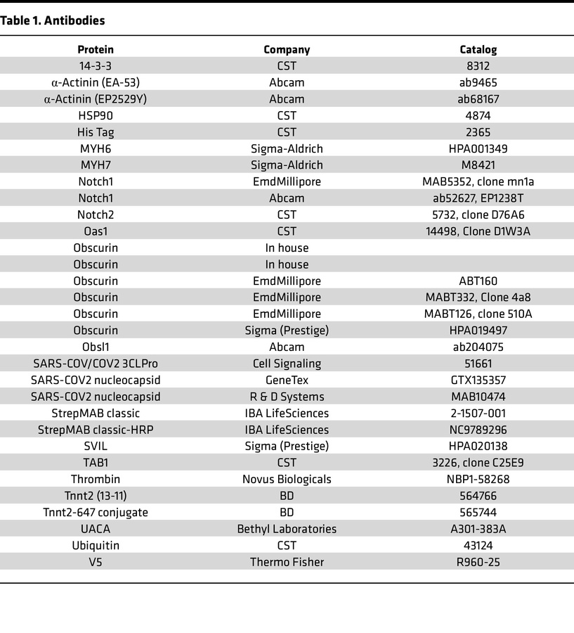 Antibodies