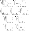 BDKRB1, but not the BDKRB2, plays a pivotal role in the pathogenesis of CLP