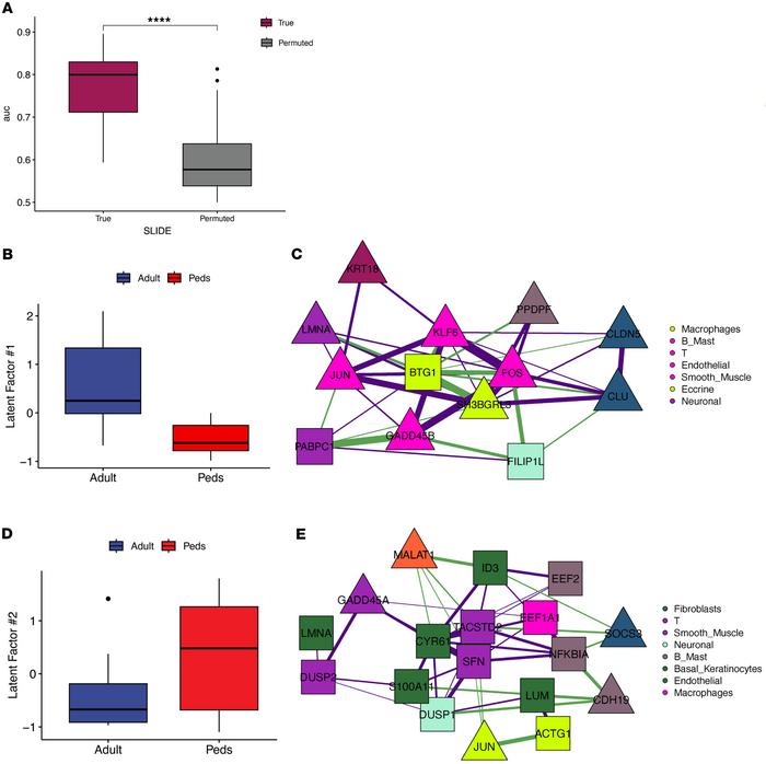 Adult and pediatric transcriptomic signatures in LS.
(A) SLIDE model per...