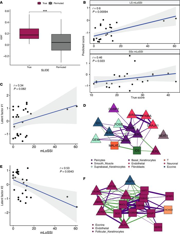 Transcriptomic signatures associated with mLoSSI score in LS.
(A) SLIDE ...