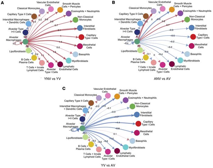 The effect of ventilation and aging on inferred secreted signaling origi...