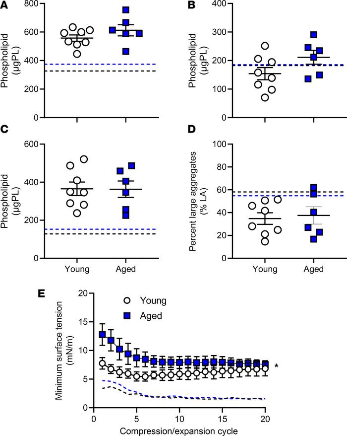 Effect of aging during mechanical ventilation on surfactant pool size an...