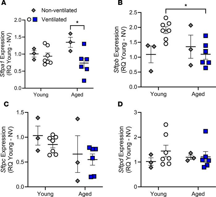 Effect of age and mechanical ventilation on SFTP expression.
Following m...
